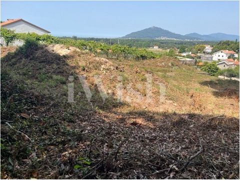 Au milieu du village de Caminha à la place de Cristelo, cette terre avec des vignes apparaît. Un terrain en terrasses, qui offre une vue privilégiée et dégagée sur la colline de Santa Tecla et la plage de Moledo. Le terrain a une superficie totale d'...