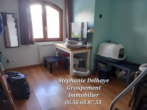 photo no. 15