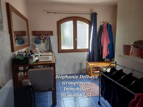 photo no. 18