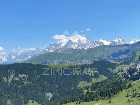 Michaël Zingraf Real Estate Megève vous propose ce local commercial, idéalement situé sur une route de grand passage, permettant une très belle visibilité pour un futur commerce. - Vaste surface de vente, d'environ 700 m2, répartie sur deux niveaux a...