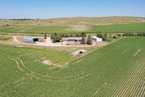 The H & V Six Farms is a highly productive farm consisting of approximately 225 +/- irrigated acres, and 75 +/- acres of pasture land. There is a nice older home built in 1979 that features 3 bedrooms and 2.5 baths with attached 2 car garage a large ...