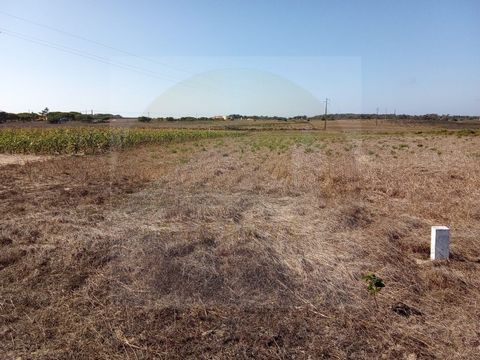 Rustic land in Vila do Bispo, intended for arable farming. Access is via a dirt road, and the property is located approximately 3 km from the beaches of Cacela, Barriga, and Castelejo, known for their stunning natural beauty on the Costa Vicentina. V...