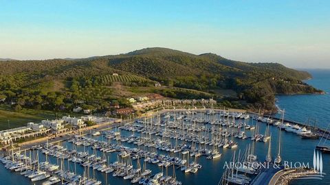 Attico panoramico, direttamente sul porticciolo, in residence di lusso con spiaggia e piscina privata, con 3 o 4 camere in vendita chiavi in mano sulla costa Toscana, Grosseto. Davanti all’Isola d’Elba, con il borgo medievale di Scarlino alle spalle ...