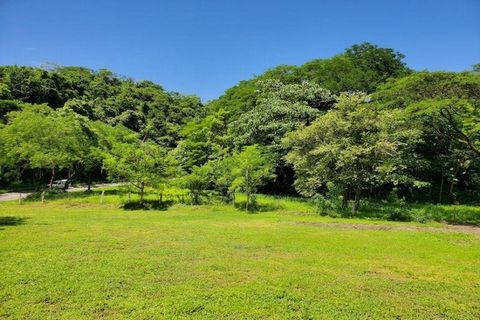 Ce terrain pittoresque est situé à moins de 5 minutes du centre de Samara, à proximité des restaurants et des plages de sable blanc, ainsi que des épiceries, des banques, des pharmacies et des boutiques. La seule station-service de la région est situ...