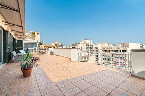 Attico con terrazza al piano terra di 73m2 ca. Questa proprietà ha una superficie di circa 140,89m2 ed è composta da un ampio soggiorno con accesso alla terrazza, cucina attrezzata e attrezzata con accesso alla terrazza, 3 camere da letto con armadi ...