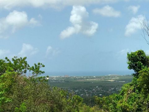 Este lote de 0,69 acres se encuentra en lo alto de la elevación que ofrece hermosas vistas al mar de la costa sur y verdes colinas ondulantes. Este alojamiento está situado en el interior de la ciudad, con una pendiente suave a moderada. Disfrute de ...