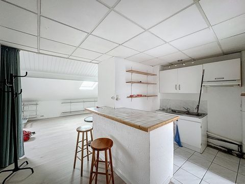 NANCY THERMAL - Dans une petite copropriété à faible charges, voici un beau F2 de 27.92m2 carrez et 57.52m2 au sol se composant d'une entrée, d'une belle pièce à vivre, d'un coin cuisine, d'une chambre et d'une salle de bains. Travaux à prévoir - Cha...