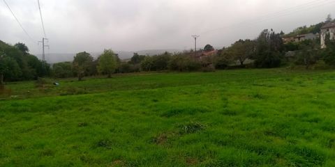 photo no. 3