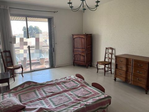 photo no. 11