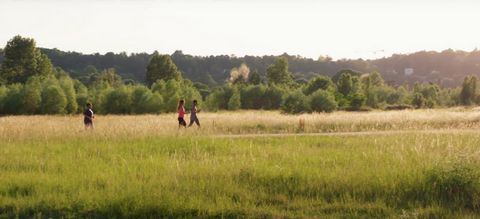 photo no. 18