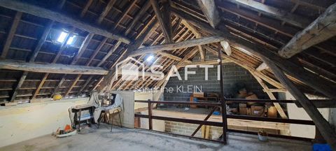 photo no. 12