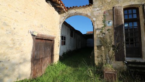 photo no. 7