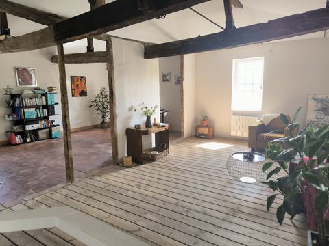 photo no. 21