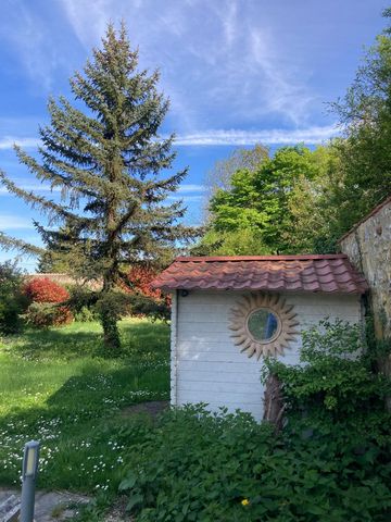 photo no. 13