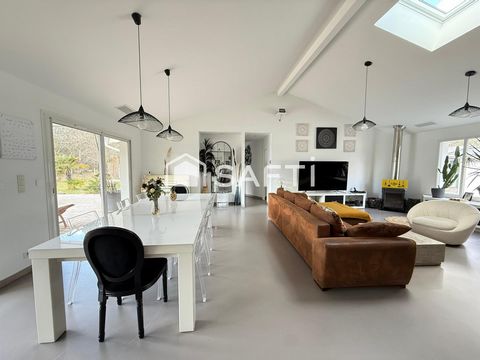 photo no. 11