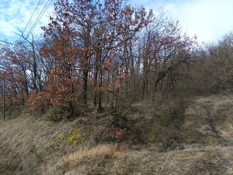 photo no. 2