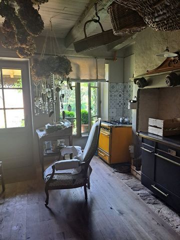 photo no. 6