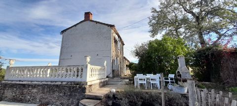 photo no. 13