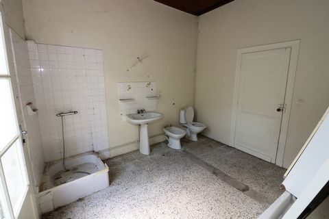 photo no. 8