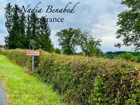 MAIZILLY - Terrain de 4 630,00 m²