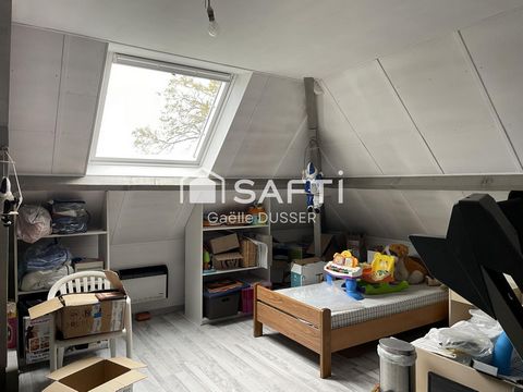 photo no. 10