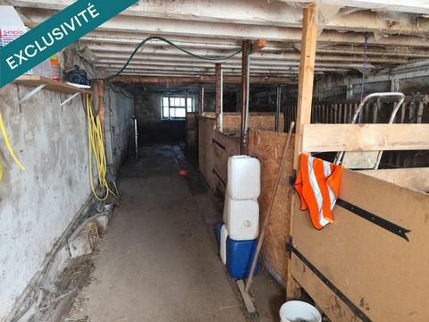 photo no. 10