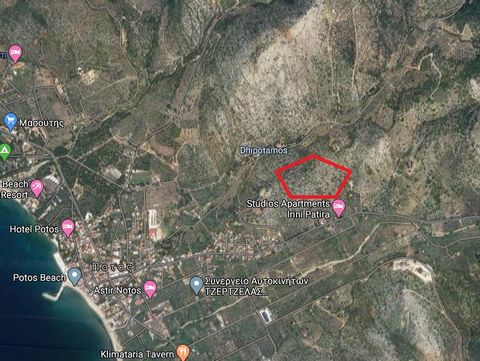THASSOS, Potos. Te koop een perceel van 45.200 m², met olijven, buiten plan, vlak, dekkingscoëfficiënt. 0.1, 5 zijden, gevel 130 m., bouwbaar. Het uitzicht vanaf het perceel is uitgestrekt en panoramisch. Het kijkt uit over de zee, bergen en het bewo...