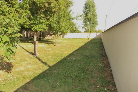 photo no. 10