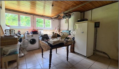 photo no. 12