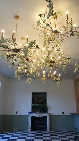 photo no. 11