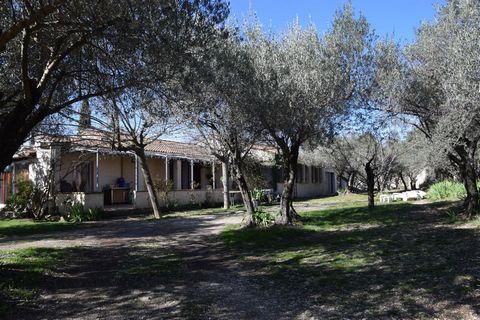 photo no. 8