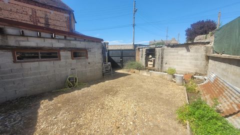 photo no. 15