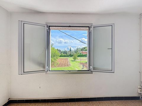 photo no. 11