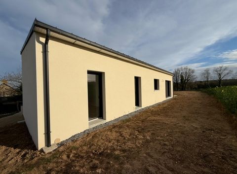 photo no. 10