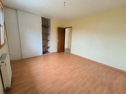 photo no. 6