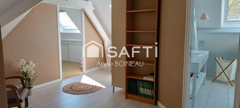 photo no. 11