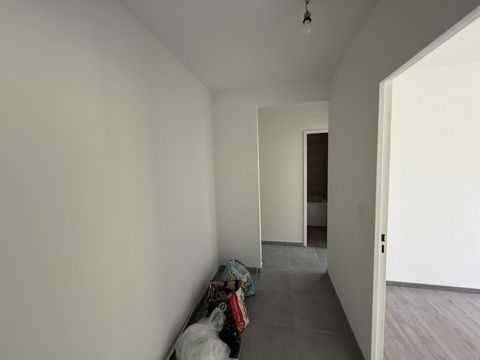 photo no. 8
