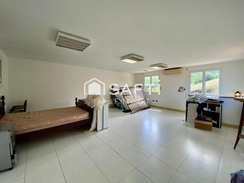 photo no. 10