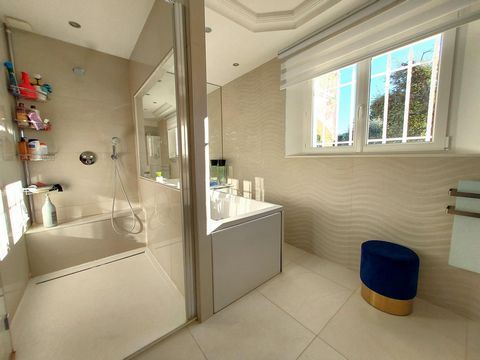 photo no. 11
