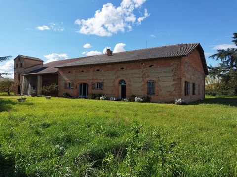 photo no. 10