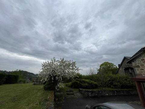 photo no. 18