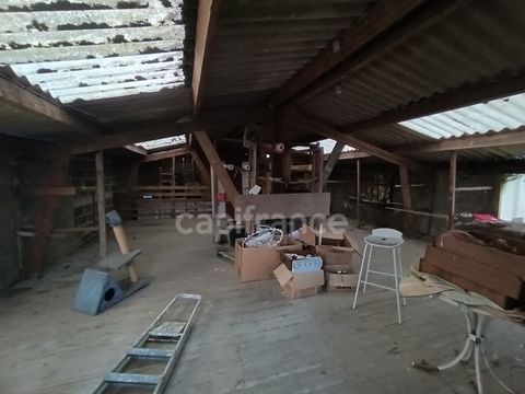 photo no. 1