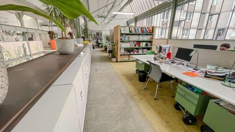 photo no. 2