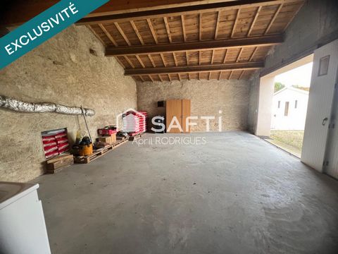 photo no. 11