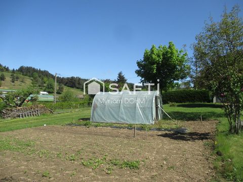 photo no. 13