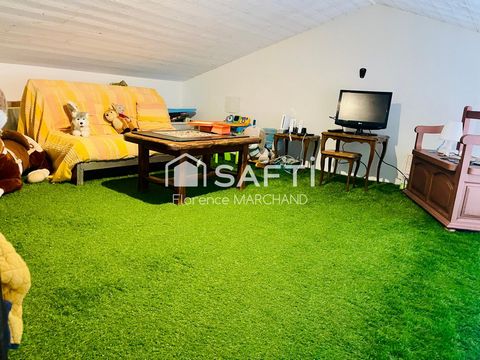 photo no. 13
