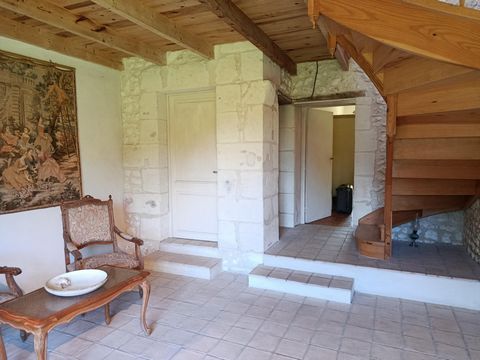 photo no. 10
