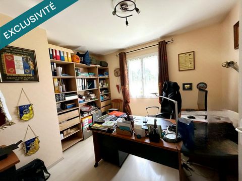 photo no. 6