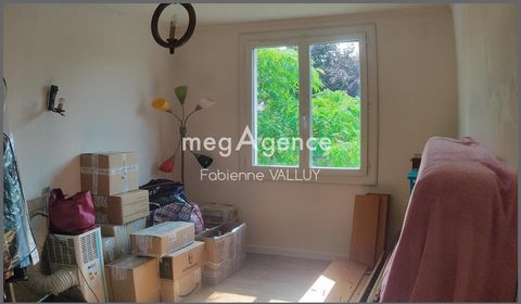 photo no. 11