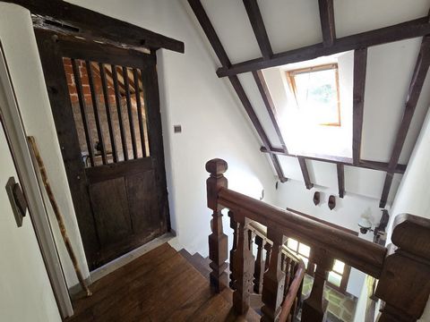 photo no. 9